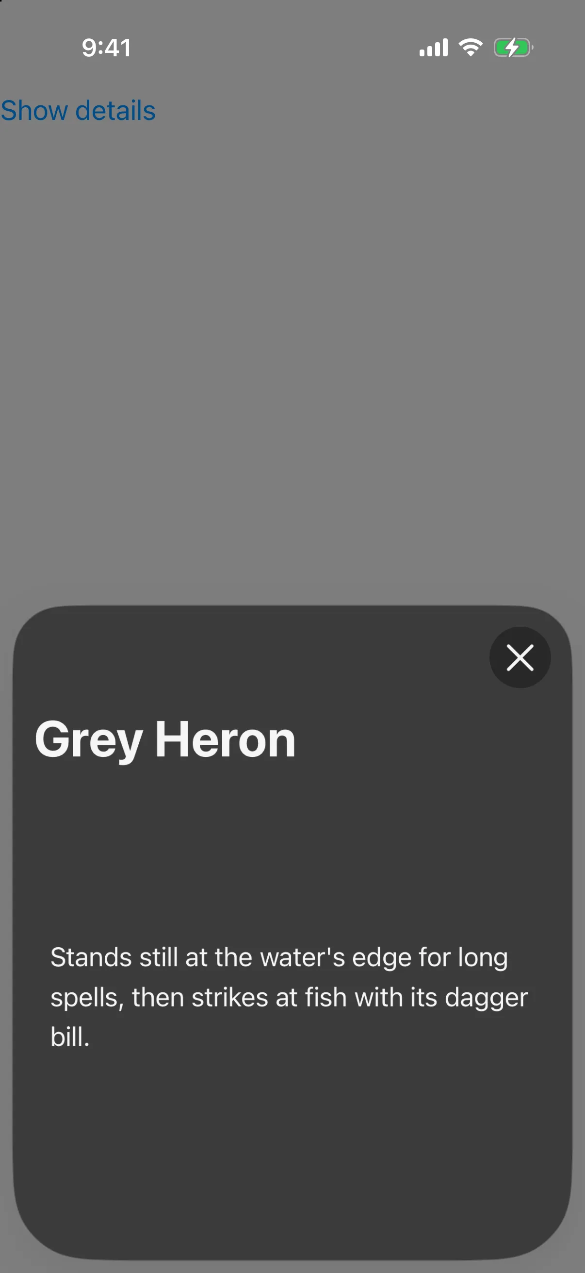 A sheet titled Grey Heron with a close button in its navigation bar