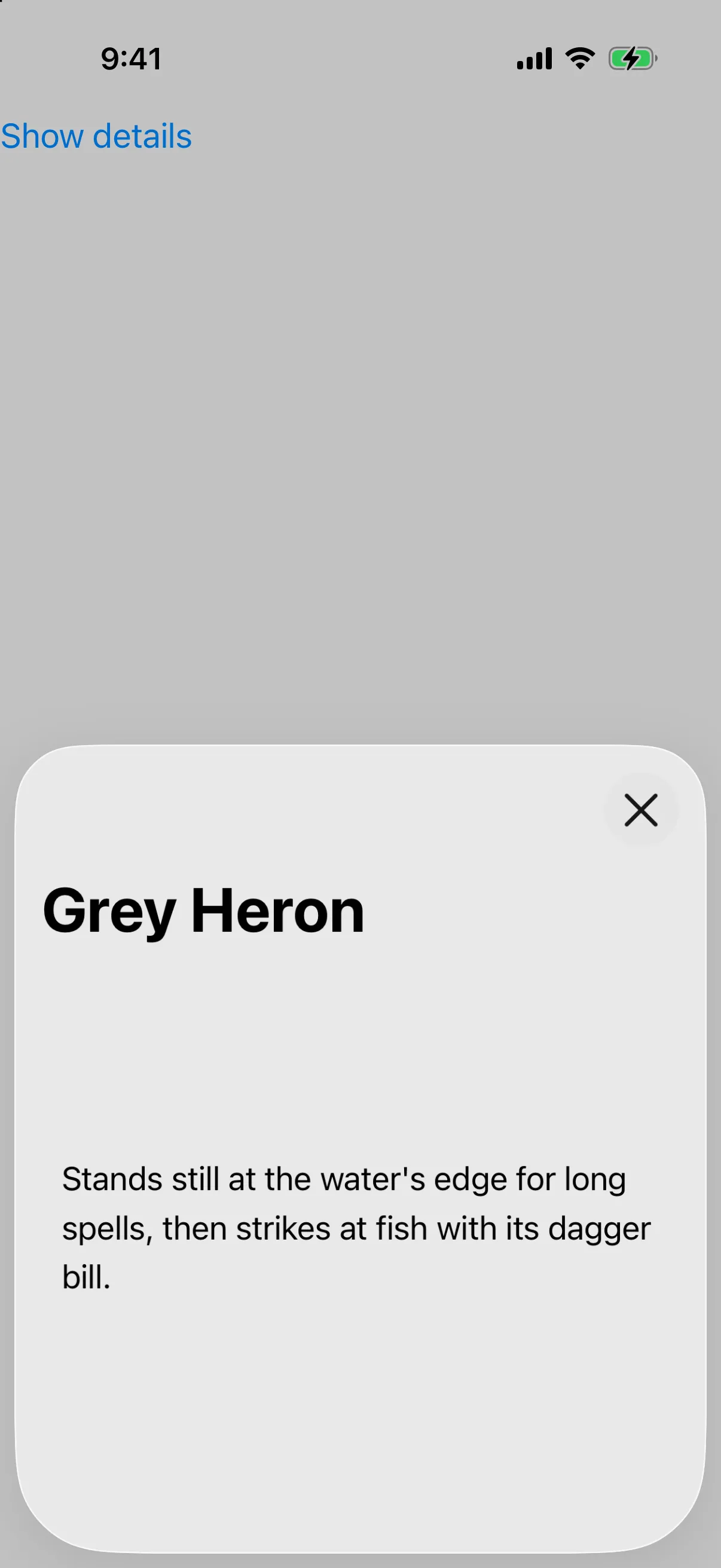 A sheet titled Grey Heron with a close button in its navigation bar