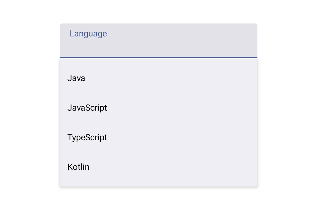 Exposed dropdown menu showing four language options anchored to a text field