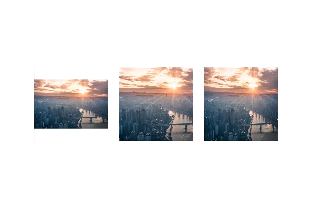 Images rendered with different contentScale props