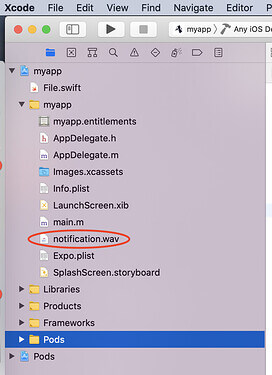 notification.wav inside of app resources in Xcode project organizer